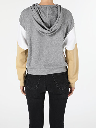Image de Pull-over Gris Regular Fit  Femme