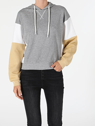 Image de Pull-over Gris Regular Fit  Femme