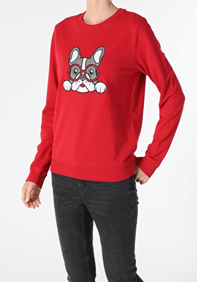 Image de Pull-over Rouge Regular Fit  Femme