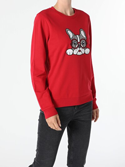 Image de Pull-over Rouge Regular Fit  Femme
