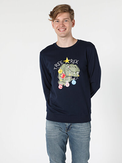 Image de Pull-over Marine Regular Fit  Homme