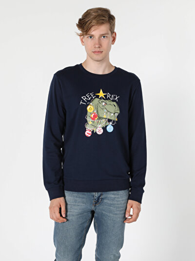Image de Pull-over Marine Regular Fit  Homme