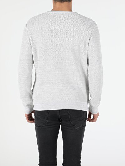Afficher les détails de Pull Gris Regular Fit   Homme