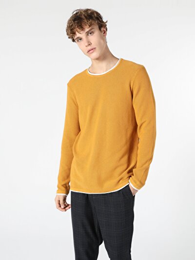 Afficher les détails de Pull Safran Regular Fit   Homme