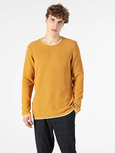 Afficher les détails de Pull Safran Regular Fit   Homme