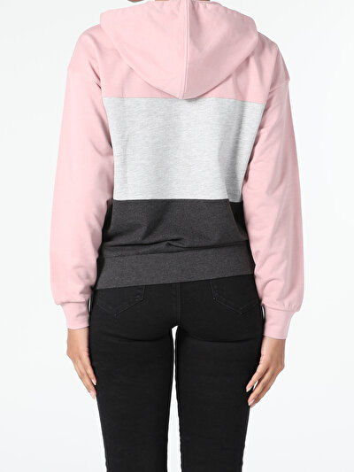 Image de Pull-over Rose Regular Fit  Femme
