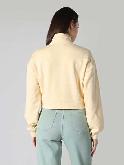 Afficher les détails de Pull-over Jaune Regular Fit  Femme