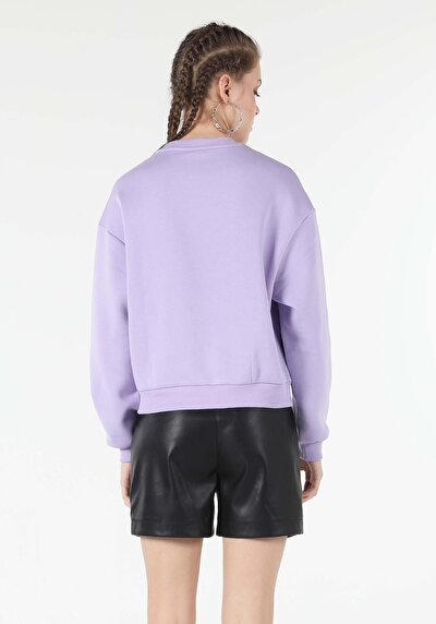 Image de Pull-over Violet Regular Fit  Femme
