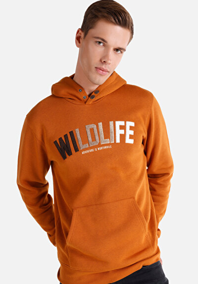 Afficher les détails de Pull-over Camel   Homme