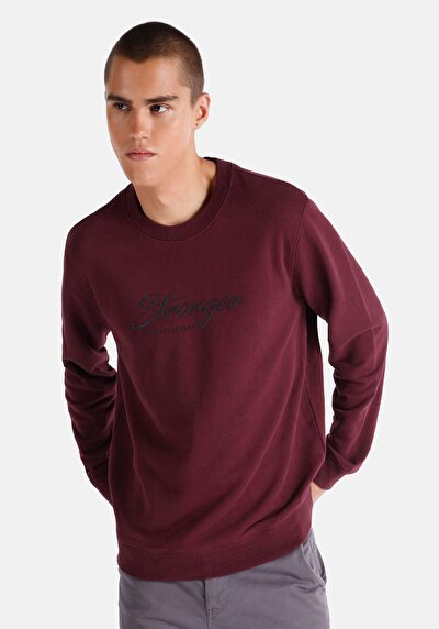Image de Pull-over Bordeaux Regular Fit  Homme