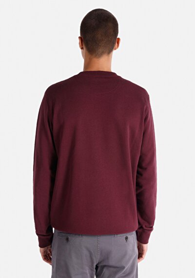 Image de Pull-over Bordeaux Regular Fit  Homme