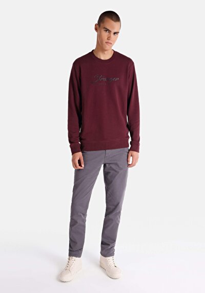 Image de Pull-over Bordeaux Regular Fit  Homme
