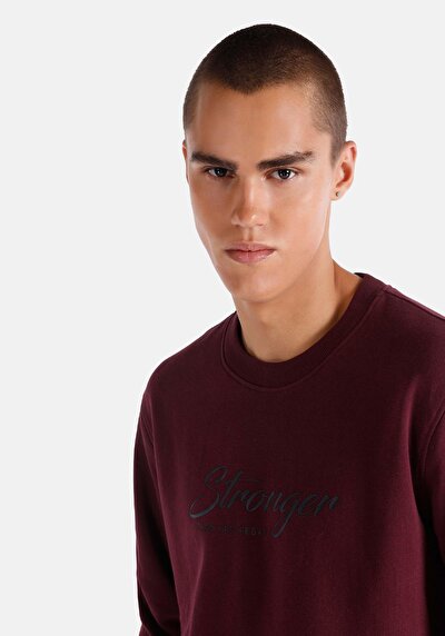 Image de Pull-over Bordeaux Regular Fit  Homme