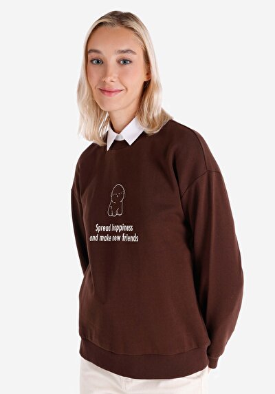Image de Pull-over Marron Regular Fit  Femme