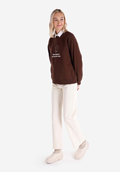 Image de Pull-over Marron Regular Fit  Femme