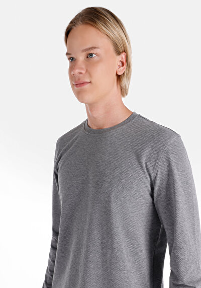 Image de T-shirt À Manches Longues Gris Regular Fit  Homme