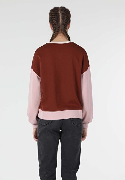 Image de Pull-over Multicolou Regular Fit  Femme