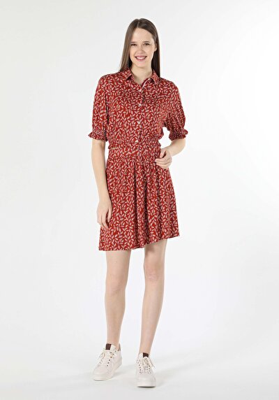 Image de Jupe Marron Regular Fit    Femme