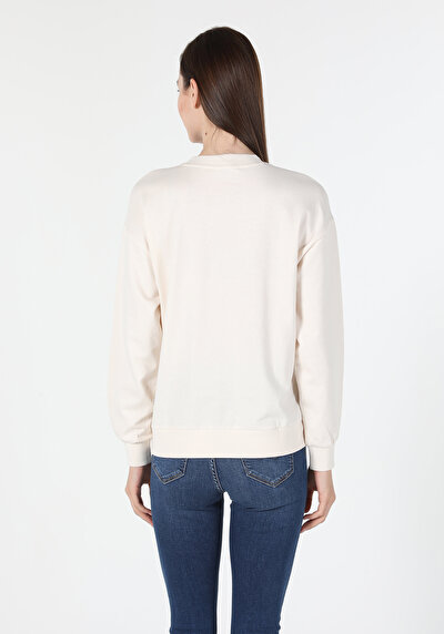Image de Pull-over Beige Regular Fit  Femme