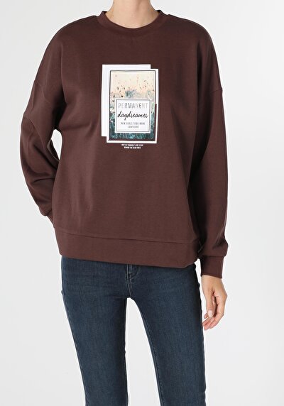 Image de Pull-over Marron Regular Fit  Femme