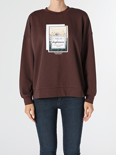 Image de Pull-over Marron Regular Fit  Femme