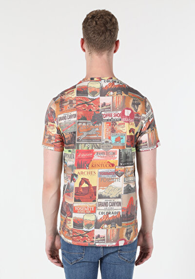 Image de T-shirt À Manches Courtes Multicolou Regular Fit  Homme