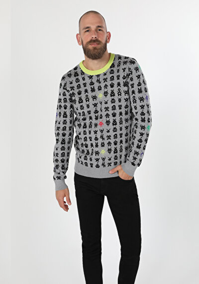 Image de Pull Gris Regular Fit   Homme