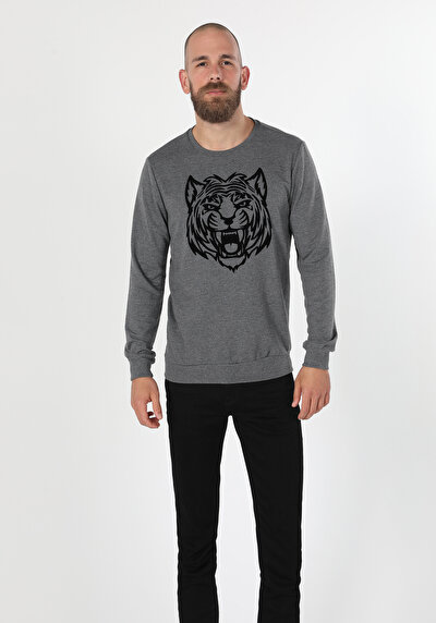 Image de Pull-over Anthracite Regular Fit  Homme