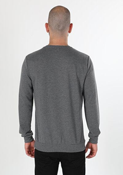 Image de Pull-over Anthracite Regular Fit  Homme