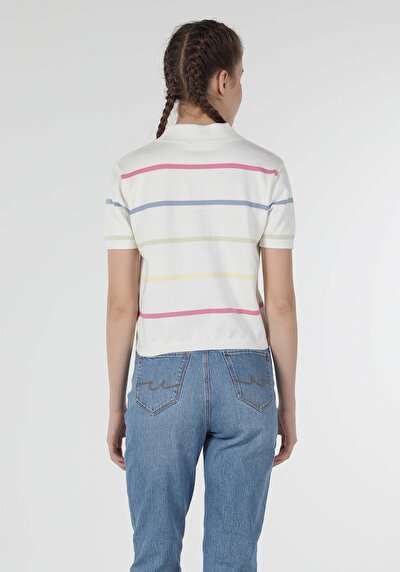Image de Pull Multicolou Regular Fit   Femme