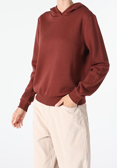 Image de Pull-over Marron Regular Fit  Femme