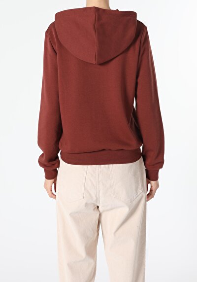 Image de Pull-over Marron Regular Fit  Femme