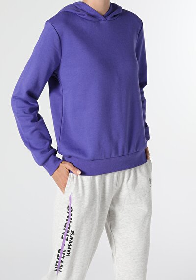 Image de Pull-over Violet Regular Fit  Femme