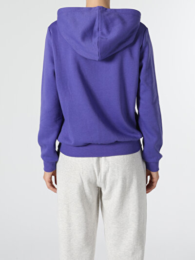 Image de Pull-over Violet Regular Fit  Femme