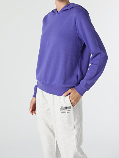 Image de Pull-over Violet Regular Fit  Femme