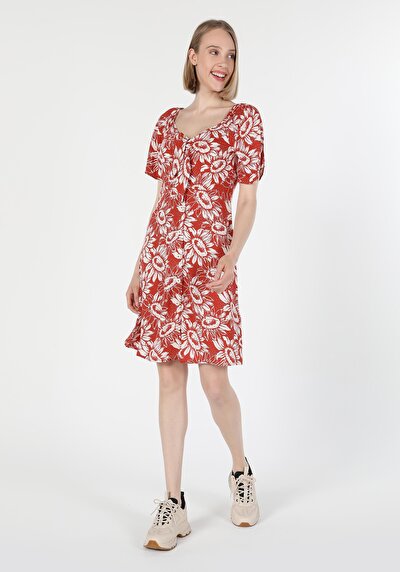 Image de Robe Marron Slim Fit    Femme