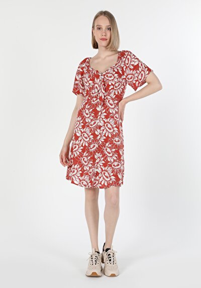 Image de Robe Marron Slim Fit    Femme