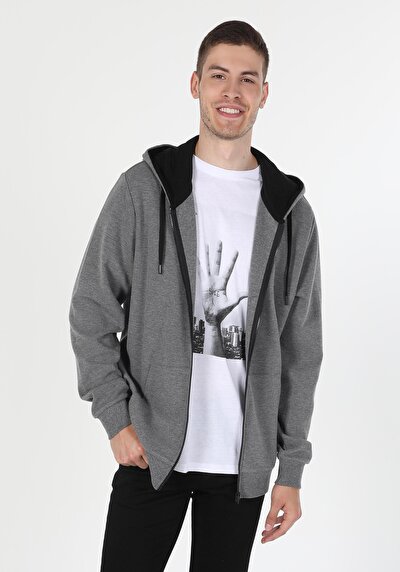 Image de Pull-over Gris Regular Fit  Homme