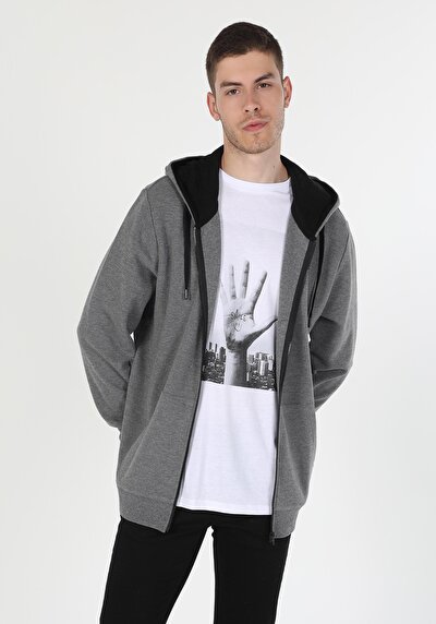 Image de Pull-over Gris Regular Fit  Homme