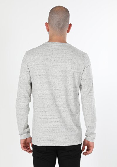 Image de T-shirt À Manches Longues Gris Regular Fit  Homme