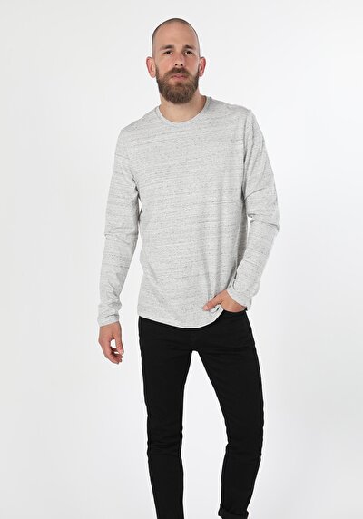 Image de T-shirt À Manches Longues Gris Regular Fit  Homme