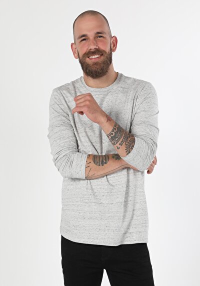 Image de T-shirt À Manches Longues Gris Regular Fit  Homme