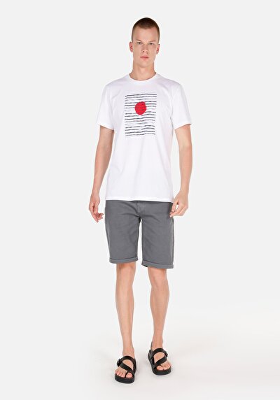 Afficher les détails de Short Gris Regular Fit Homme