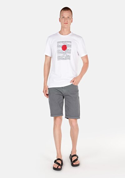 Afficher les détails de Short Gris Regular Fit Homme
