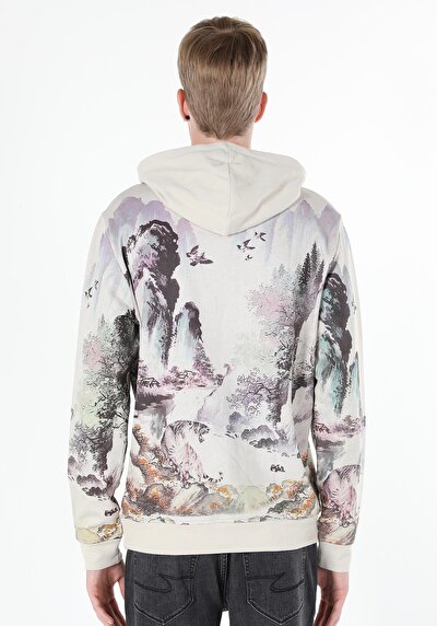 Image de Pull-over Blanc Regular Fit  Homme