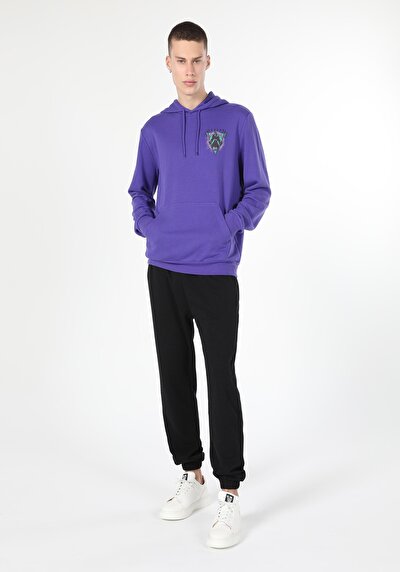 Image de Pull-over Violet Regular Fit  Homme
