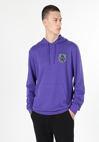 Image de Pull-over Violet Regular Fit  Homme