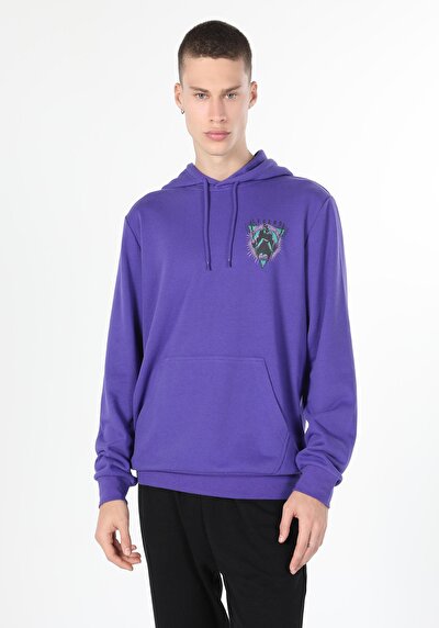 Image de Pull-over Violet Regular Fit  Homme