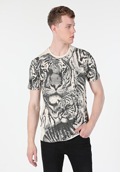 Image de T-shirt À Manches Courtes Beige Regular Fit  Homme