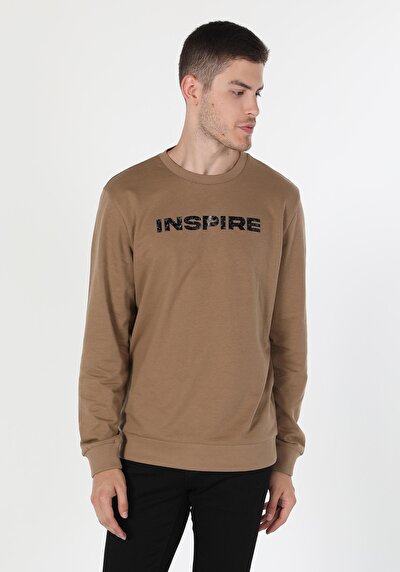 Image de Pull-over Beige Regular Fit  Homme